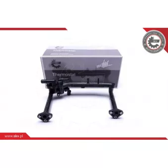 Boîtier du thermostat ESEN SKV 20SKV607