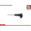 Kit de rails tendeurs, chaîne de distribution ESEN SKV 21SKV001 - Visuel 2