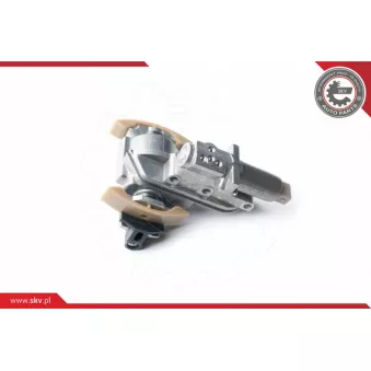 Valve de commande, réglage d'arbres à came ESEN SKV 21SKV051