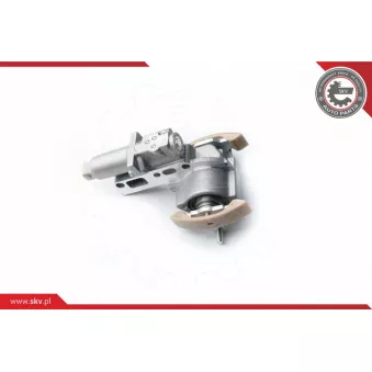 Valve de commande, réglage d'arbres à came ESEN SKV 21SKV061