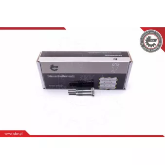 Tendeur, chaîne de distribution ESEN SKV 21SKV072