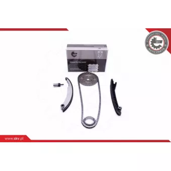 Kit de distribution par chaîne ESEN SKV 21SKV113
