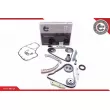 Kit de distribution par chaîne ESEN SKV 21SKV140 - Visuel 1