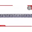 Kit de distribution par chaîne ESEN SKV 21SKV151 - Visuel 3