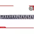 Kit de distribution par chaîne ESEN SKV 21SKV157 - Visuel 3