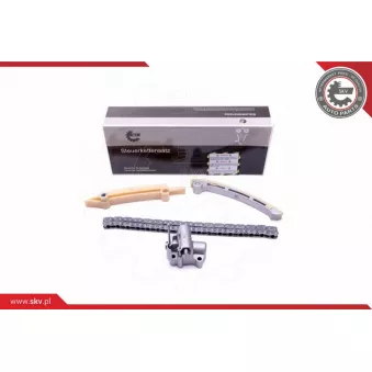 Kit de distribution par chaîne ESEN SKV 21SKV165