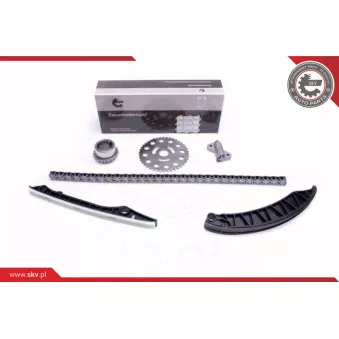 Kit de distribution par chaîne ESEN SKV 21SKV173