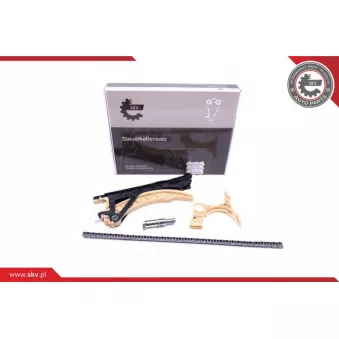 Kit de distribution par chaîne ESEN SKV 21SKV179