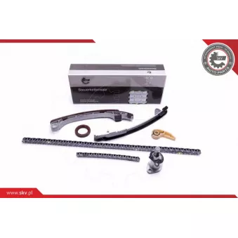 Kit de distribution par chaîne ESEN SKV 21SKV198