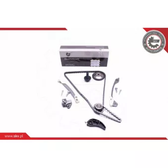 Kit de distribution par chaîne ESEN SKV 21SKV243