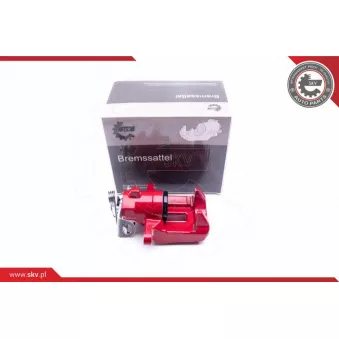 Étrier de frein arrière gauche ESEN SKV 23SKV113 RED