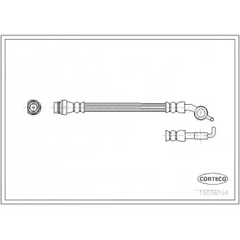 Flexible de frein CORTECO 19036194