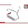 Gaine de suralimentation avant droit ESEN SKV 24SKV015 - Visuel 3