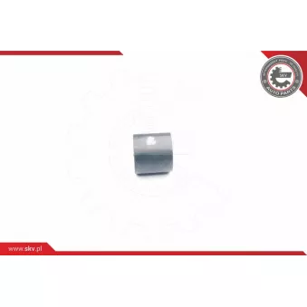 Gaine de suralimentation ESEN SKV 24SKV036