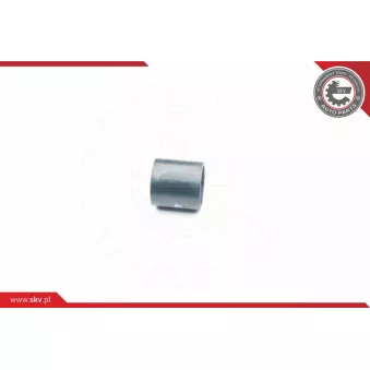 Gaine de suralimentation ESEN SKV 24SKV037