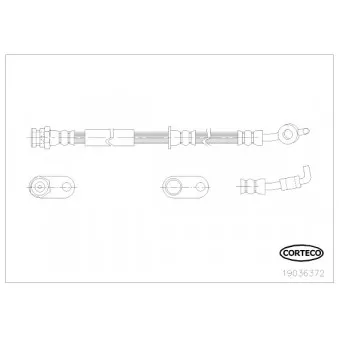 Flexible de frein avant gauche CORTECO 19036372