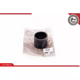 Gaine de suralimentation ESEN SKV 24SKV164