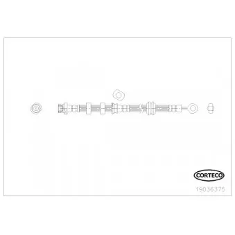 Flexible de frein avant gauche CORTECO 19036375