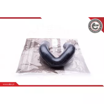 Gaine de suralimentation ESEN SKV 24SKV169