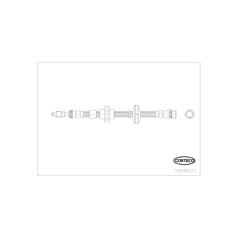 Flexible de frein avant gauche CORTECO 19036537