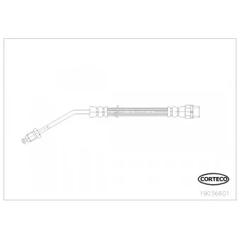 Flexible de frein CORTECO 19036601