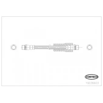 Flexible de frein CORTECO 19036603