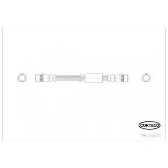Flexible de frein CORTECO 19036604