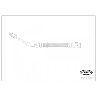 Flexible de frein CORTECO 19036611