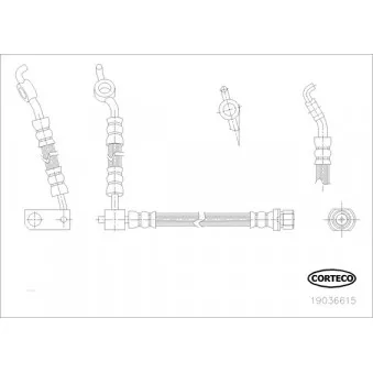Flexible de frein CORTECO 19036615