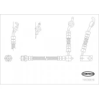 Flexible de frein CORTECO 19036616