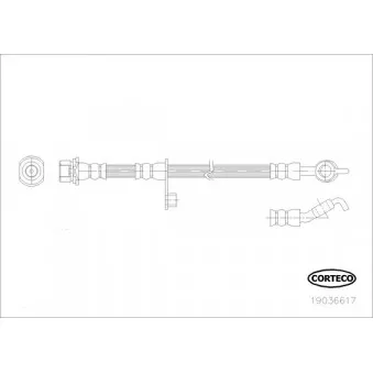 Flexible de frein CORTECO 19036617
