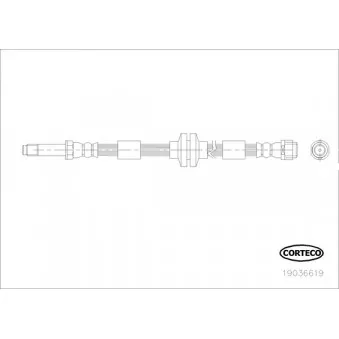 Flexible de frein CORTECO 19036619