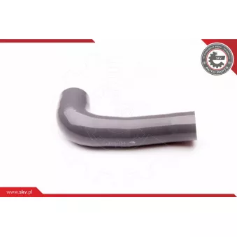 Gaine de suralimentation ESEN SKV 24SKV424