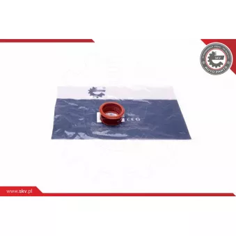 Gaine de suralimentation ESEN SKV 24SKV498