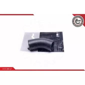 Gaine de suralimentation ESEN SKV 24SKV527