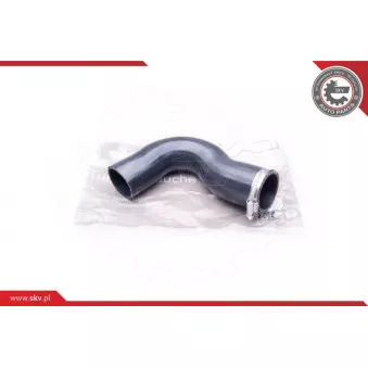 Gaine de suralimentation ESEN SKV 24SKV655