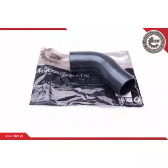Gaine de suralimentation ESEN SKV 24SKV723