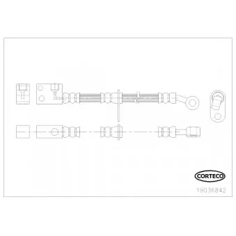 Flexible de frein CORTECO 19036842