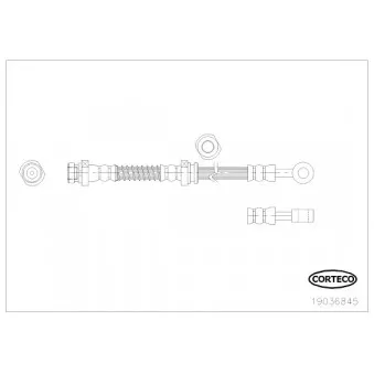 Flexible de frein CORTECO 19036845