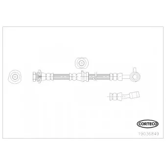 Flexible de frein CORTECO 19036849