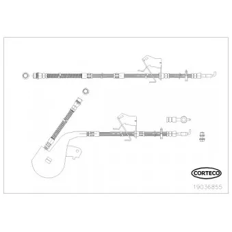 Flexible de frein avant gauche CORTECO 19036855