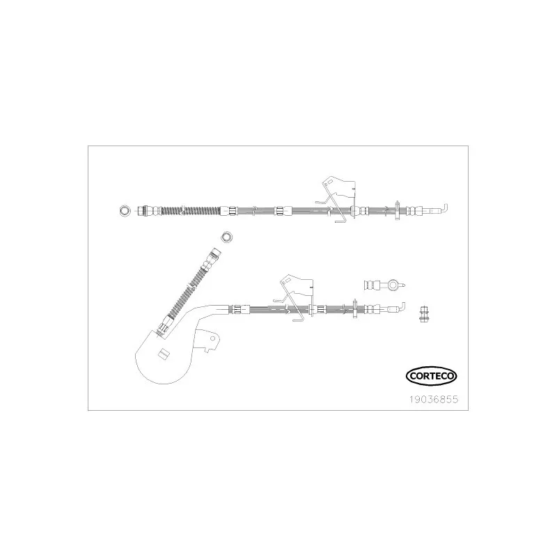 Flexible de frein avant gauche CORTECO 19036855