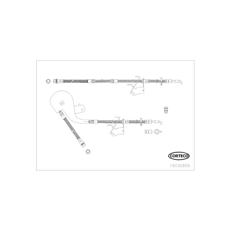 Flexible de frein avant droit CORTECO 19036856