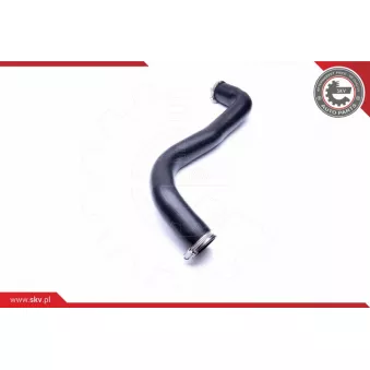 Gaine de suralimentation ESEN SKV 24SKV783