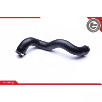 Gaine de suralimentation ESEN SKV 24SKV807
