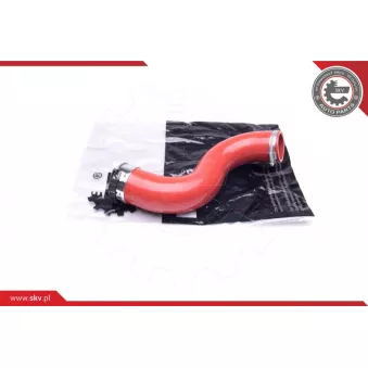 Gaine de suralimentation ESEN SKV 24SKV810