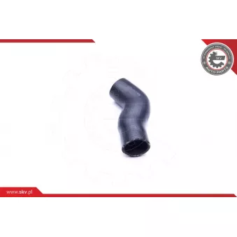 Gaine de suralimentation ESEN SKV 24SKV819