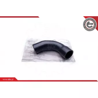 Gaine de suralimentation ESEN SKV 24SKV853
