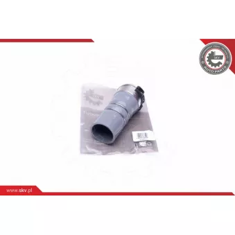 Gaine de suralimentation ESEN SKV 24SKV872