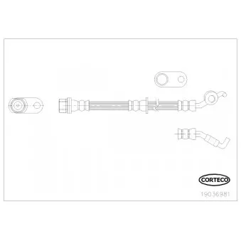 Flexible de frein CORTECO 19036981
